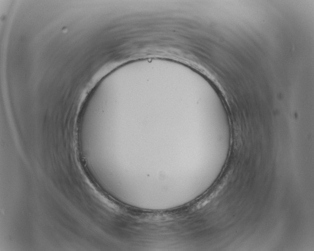 X0000073721525200608311807