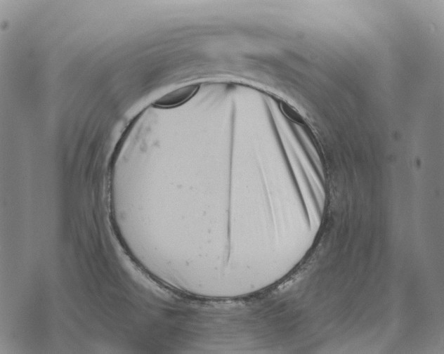 X0000073721526200608311807