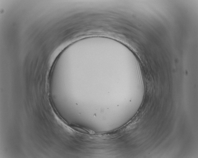 X0000073721527200608311807