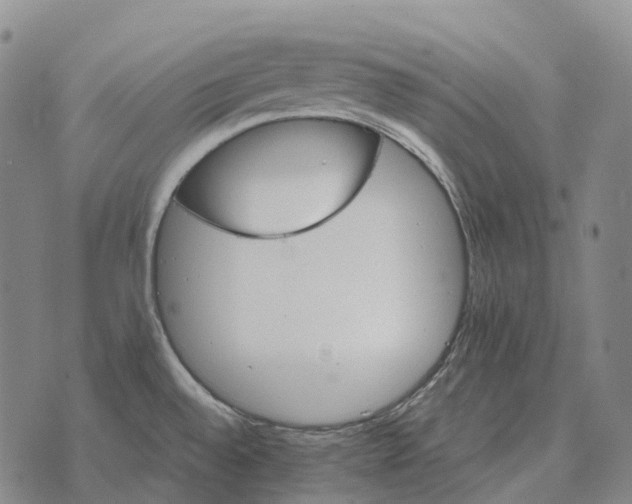 X0000073721528200608311807