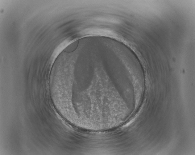 X0000073721529200608311807