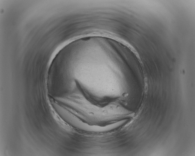 X0000073721530200608311807