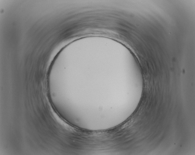 X0000073721531200608311807