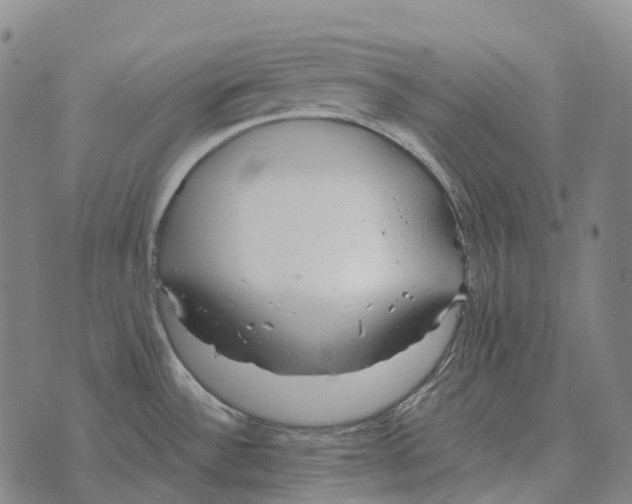 X0000073721532200608311807