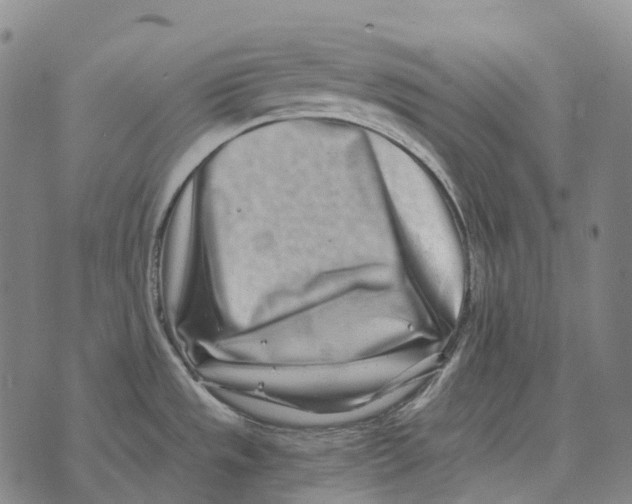 X0000073721533200608311807