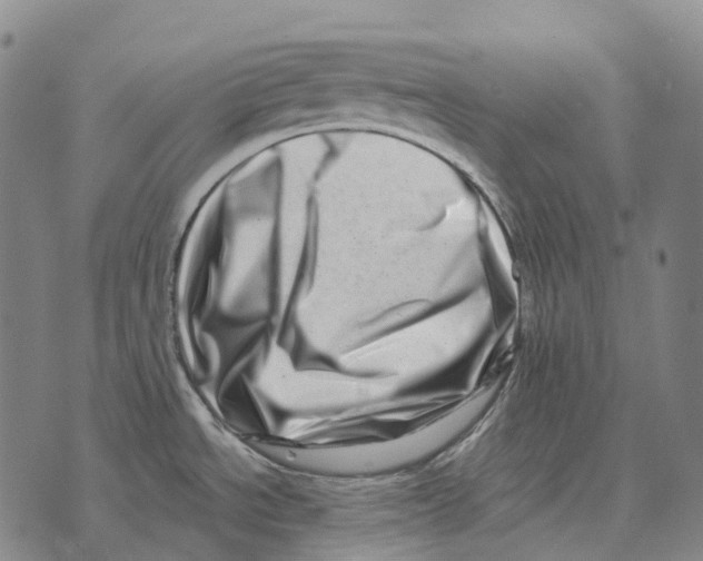 X0000073721534200608311807