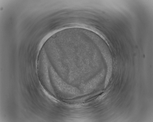 X0000073721535200608311807