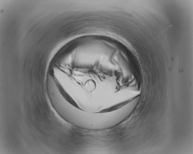 X0000073721536200608311807