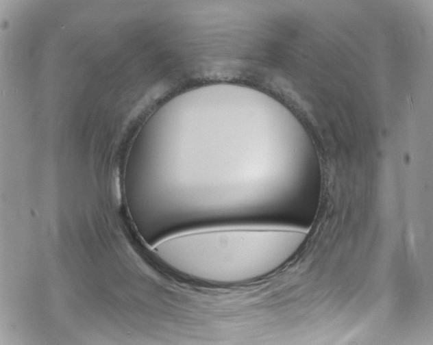 X0000073730020200608031052