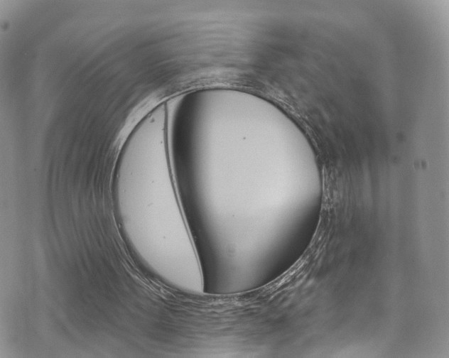 X0000073730099200608031050