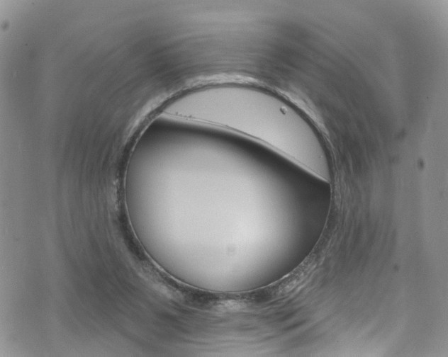 X0000073730111200608031050