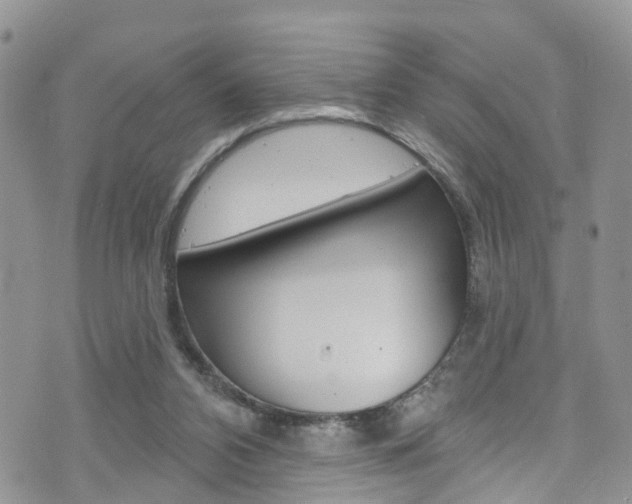 X0000073730112200608031050