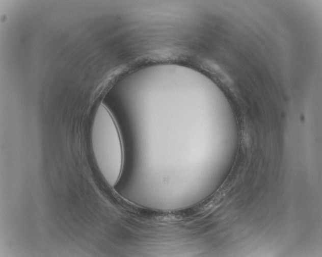 X0000073730115200608031050