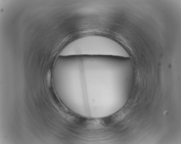 X0000073730118200608031050