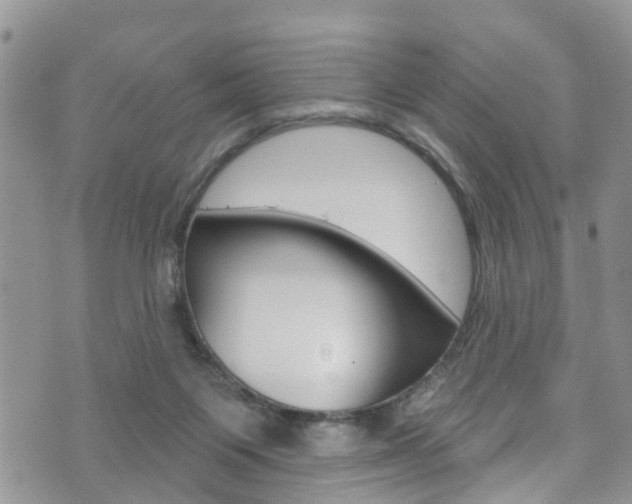 X0000073730119200608031050