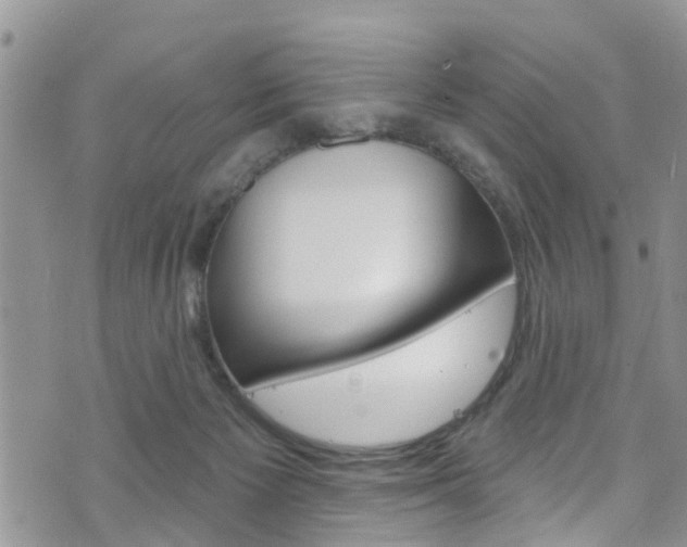 X0000073730125200608031050