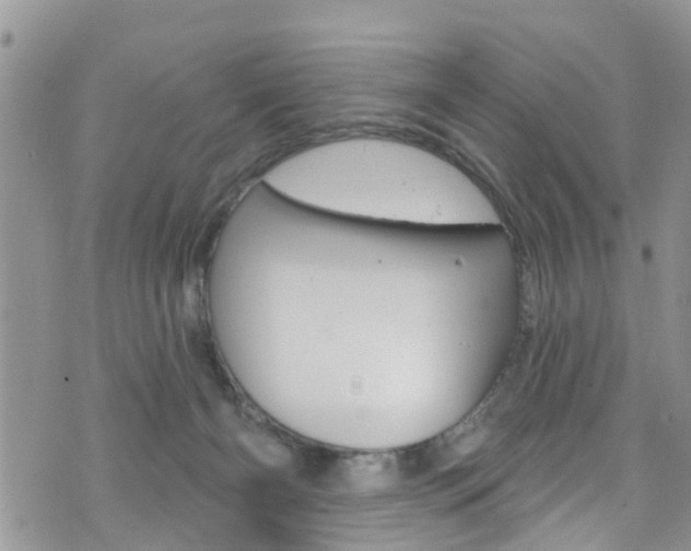 X0000073730126200608031050