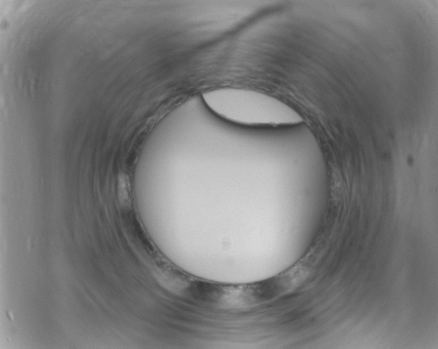 X0000073730130200608031050