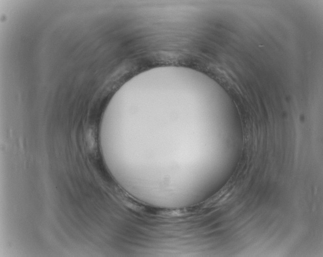 X0000073730131200608031050