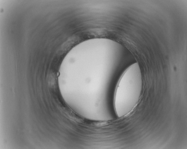 X0000073730132200608031050