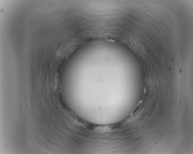 X0000073730133200608031050