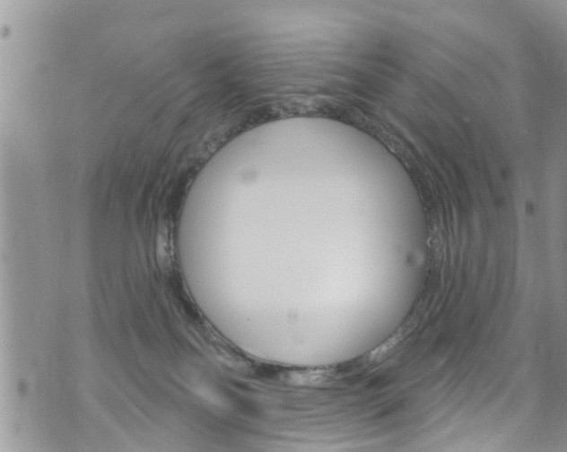 X0000073730134200608031050