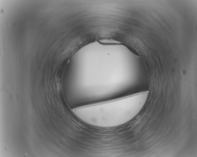 X0000073730135200608031050