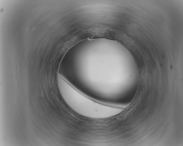 X0000073730137200608031050