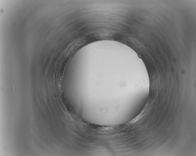 X0000073730140200608031050