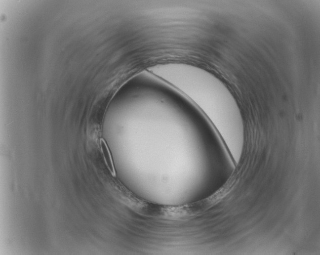 X0000073730141200608031050