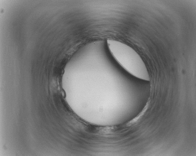 X0000073730182200608031050