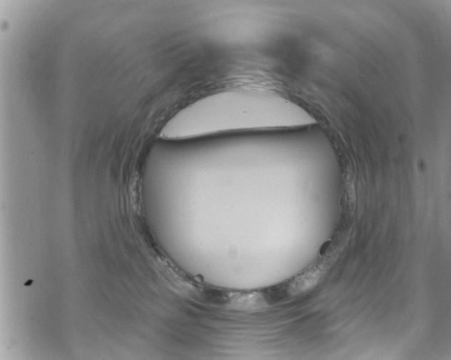 X0000073730185200608031050