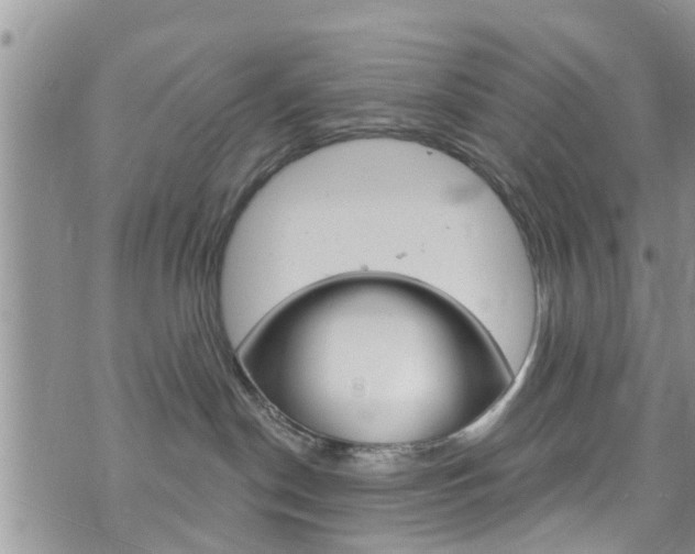 X0000073730190200608031050