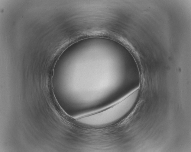 X0000073730201200608031049