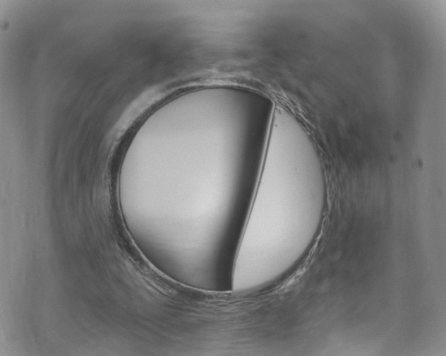 X0000073730295200608031047