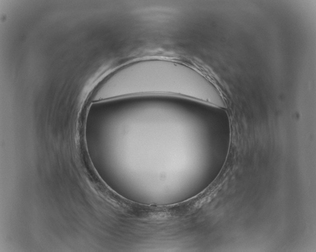 X0000073730344200608031046