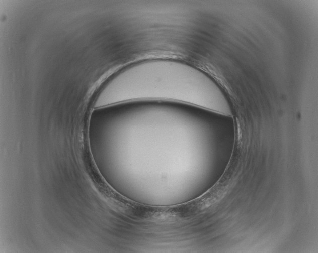 X0000073730348200608031046