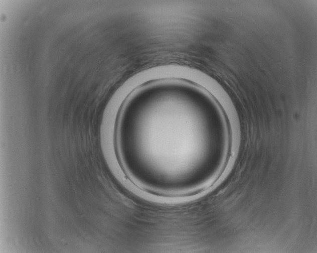 X0000073730424200608031045