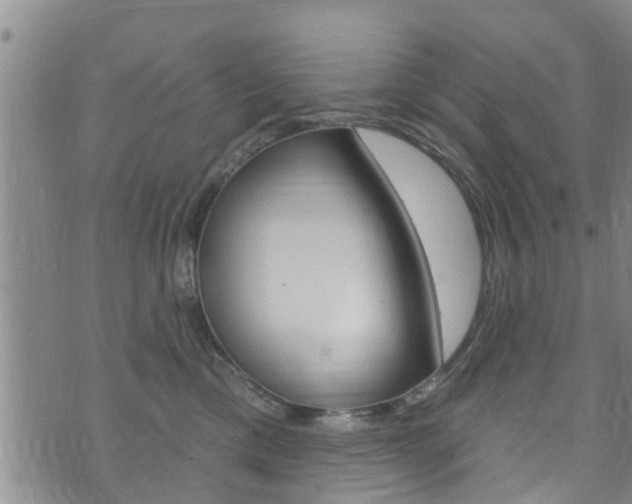 X0000073730425200608031045