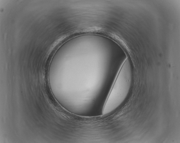 X0000073730483200608031044