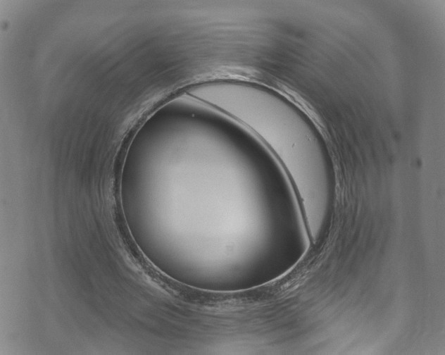 X0000073730485200608031044