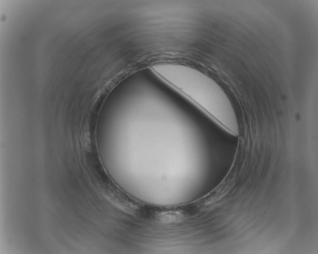 X0000073730508200608031044