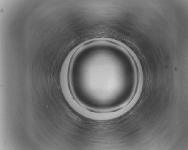 X0000073730574200608031043
