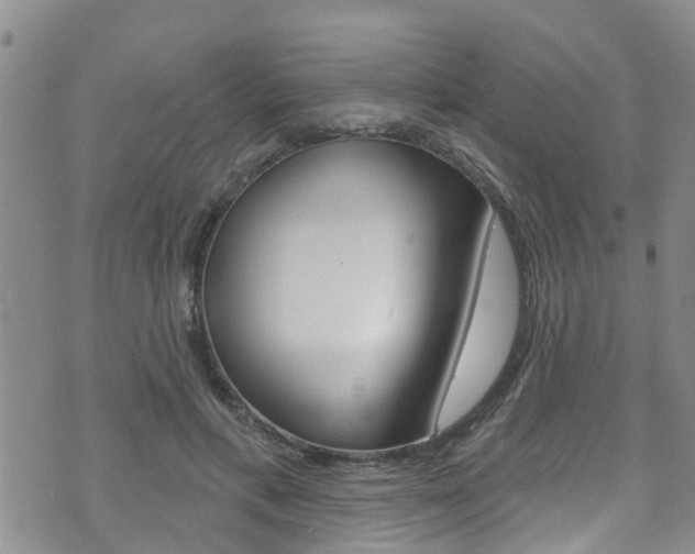X0000073730597200608031042