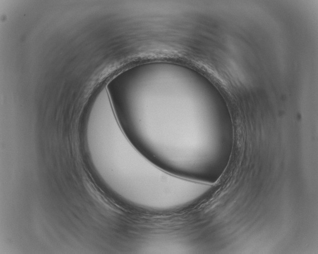 X0000073730631200608031041