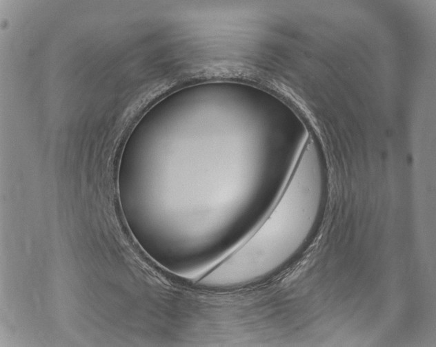 X0000073730673200608031041
