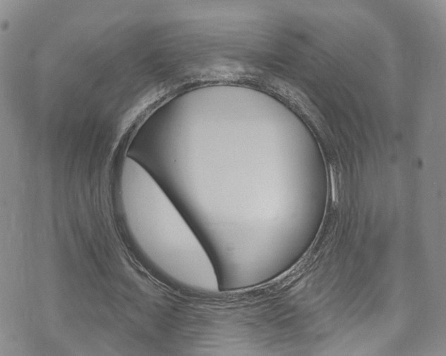 X0000073730675200608031041