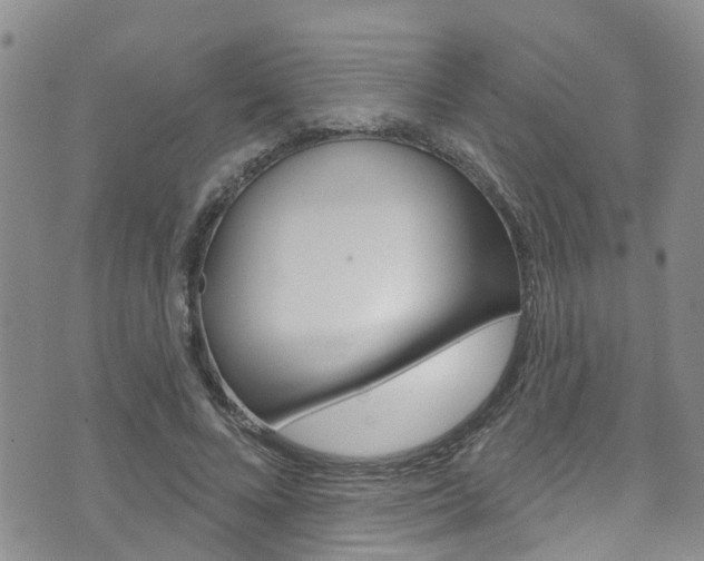 X0000073730688200608031041