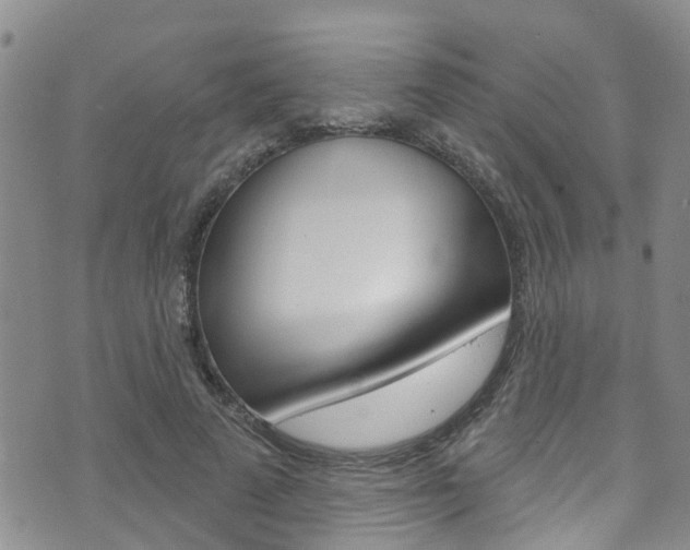 X0000073730689200608031041