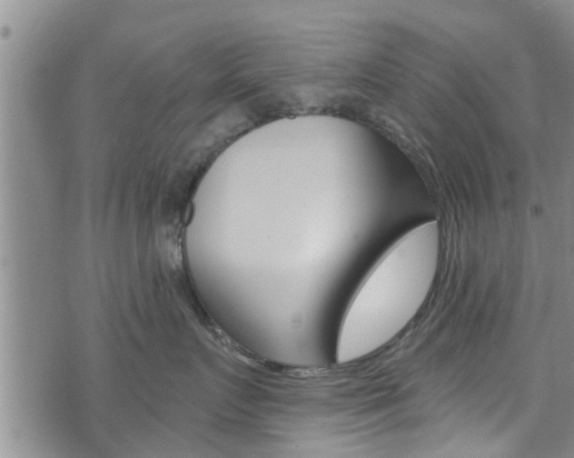 X0000073730719200608031040
